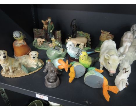A selection of animal studies including Wade, Leonardo etc