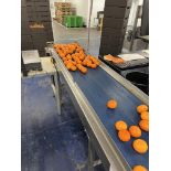Conveyor
