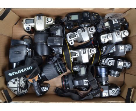 A Tray of SLR Bodies and Cameras, including Pentax bodies (3), Pentax cameras (2), Canon bodies (3), Nikon cameras (2), Minol