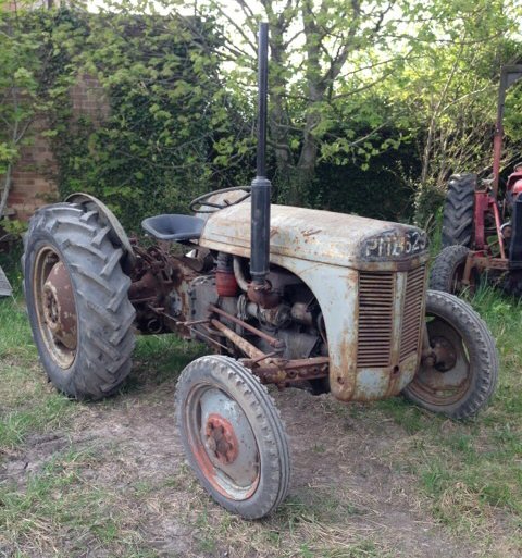 1953 Ferguson Tef 20 4cylinder Diesel Tractor Reg No Pmb 623 Serial No