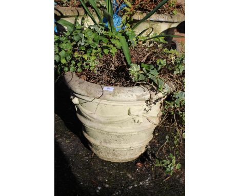A LARGE CERAMIC PLANTER WITH RIBBON DETAIL PLUS CONTENTS