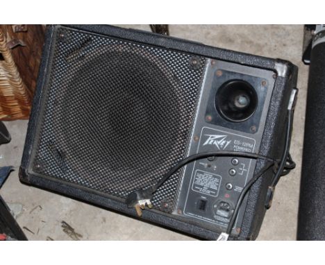 A PRINZ PROJECTOR TOGETHER WITH A PEAVEY MONITOR