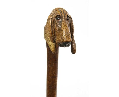 A Brigg carved bloodhound walking stick,hazel wood, the handle carved with the head of a bloodhound, with glass eyes and bras