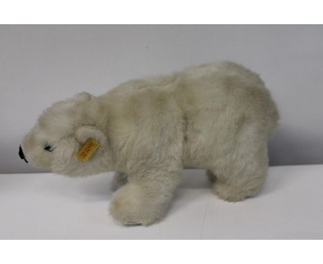 A vintage Steiff Polar bear. lengh 38cm 