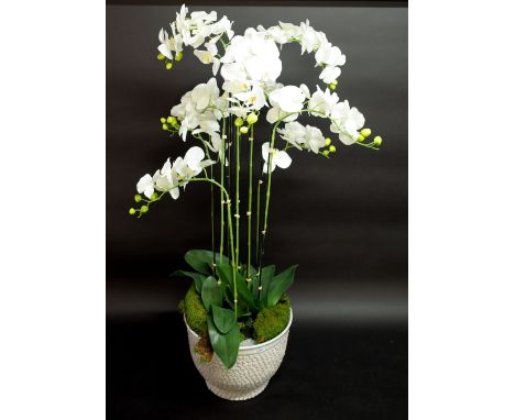 A large faux orchid in a cream ceramic pot, 140cm high. 