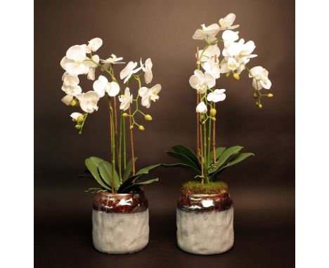 A pair of faux white orchids, each in a semi glazed ceramic pot, approx. 75cm high. 