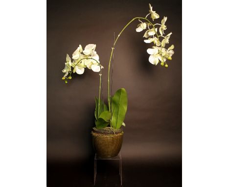 A large faux white orchid in a green glazed ceramic pot, approx. 90cm high. 