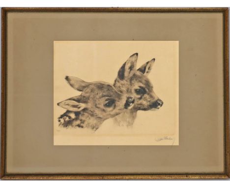 Meyer-Eberhardt, Curt (Kurt) (1895 Leipzig - München 1977) 2 Rehkitze. Radierung (gebräunt), re. u. mit Bleistift sign. 19x 2