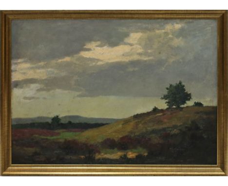 Ehrlich, Ernst Moritz (geb. 1862 Berlin-?) Weite Landschaft. Öl/Platte, re. u. sign. Ca. 34x 47 cm. R.