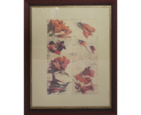 Janssen, Horst (1929 Hamburg 1995) "Tagebuch der Amarillis". Offsetdruck/PP. 20. Jh. 112x 90 cm. R. 
