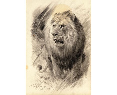Hartig,  Karl Ludwig (1878-1954) Löwe. Kohlezeichnung (fleckig), li. u. sign. und dat. 1943. Ca. 25x 17 cm. PP., R.