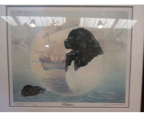 A limited edition print by the artist Anne Mainman entitled "Matthew" 61/250, framed and glazed,  32cm x 38cm