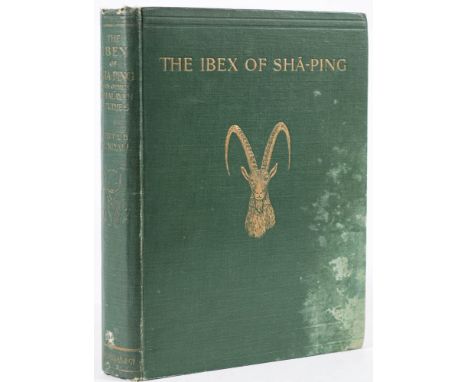 RUNDALL, Lieut. L. B - The Ibex of Sha-Ping and other Himalayan Studies : illustrated, org. green cloth covers damp faded, 4t