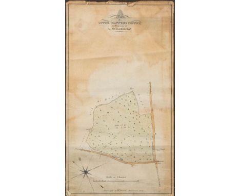 MANUSCRIPT ESTATE MAP : " Plan of Upper Nappers Coppice the Property of A. Mellersh Esq." Size : 520 x 285 mm. Surveyed by W.