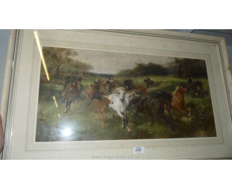 A framed and mounted Print by Lucy Kemp-Welch dated 1897 entitled 'Colt Hunting in the New Forest', 26" x 13"