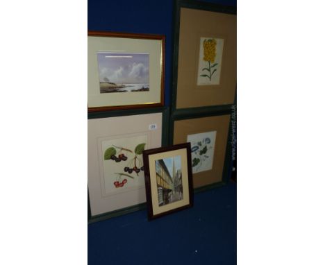 Three framed Botanical Prints, a Watercolour of Church St, Ledbury and a Print of the River Cleddau