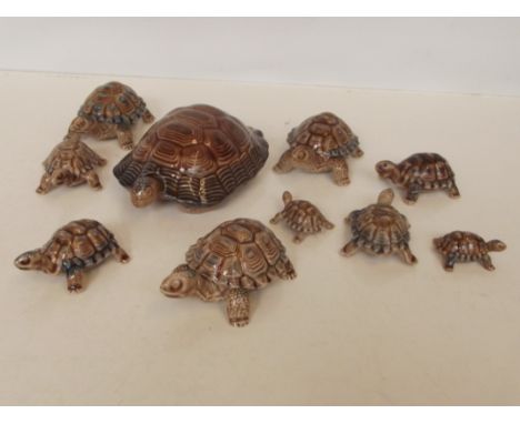 Wade tortoise trinket boxes 
