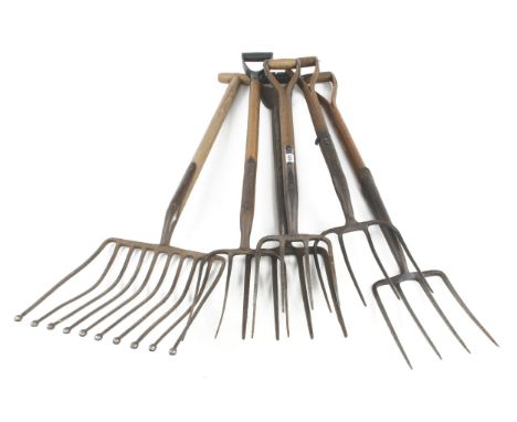 A potato or beet fork and 5 others G 