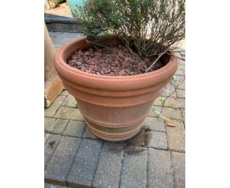 Terracotta Planter 