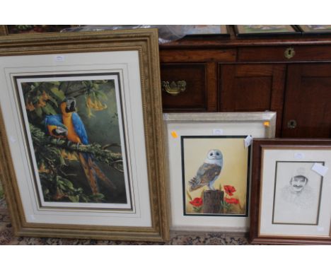 'A Barn Owl' - Linda Wain'Ulleswater' - Mel Allen'Mansell''Blue and Gold Macau' limited edition 197/500 signed Michael Jackso
