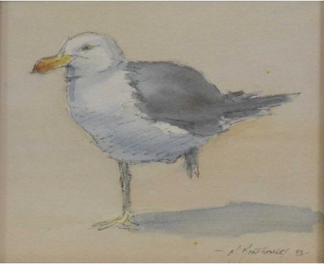 M. Montgomery, Seagull,watercolour and ink, signed and dated '93, 19x21.5cm;together with Stephen Cohn,'Ribbon',etching, sign