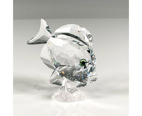 Part of the clear version of Wonders of the Sea trilogy this wonderful, faceted fish is set on a frosted coral base with aqua