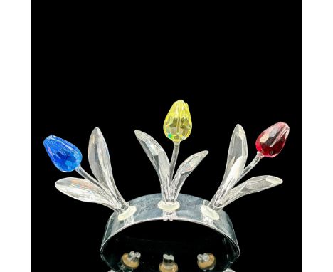 During the Magic of Dance trilogy period, Swarovski offered an extra gift to members who renewed for a 3 year period, a bag o
