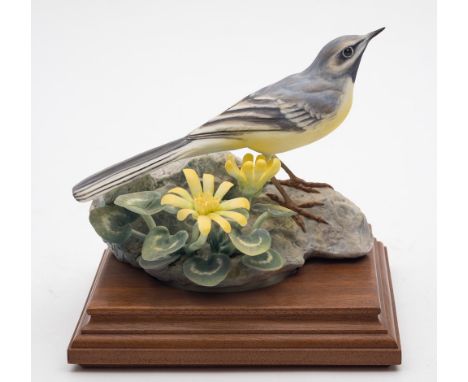 A Royal Worcester porcelain study 'Grey Wagtail and Celandine' modelled by Dorothy Doughty: no.186 of a limited edition of 50