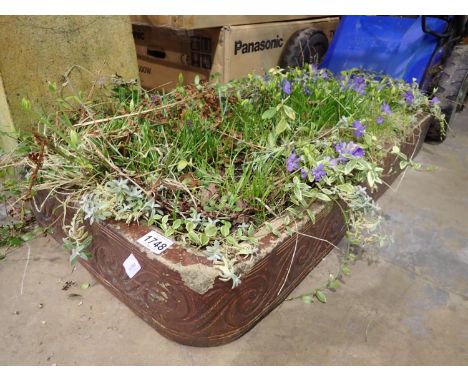 Large stoneware trough, with plants, 95 x 40 cm. Not available for in-house P&amp;P 