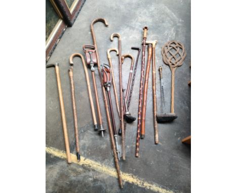 A Collection of vintage walking sticks includes whippet dog handled walking stick, 2 shooting sticks etc 