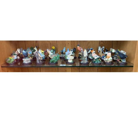 A Large shelf of collectable bird figures to include The Country bird collection, border fine arts etc 