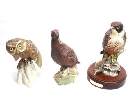 Royal Doulton Peregrine Falcon H.N. 3541 on mahogany base H28cm, Spode Little Owl H22cm, Royal Doulton "The Famous Grouse" li