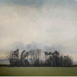British School, 20th century, Landscape view over woodland and large clouded skyline, bears