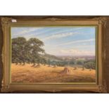 David Morgan (British, b.1947), Rural landscape, oil on canvas, signed, 49x74cm, framed