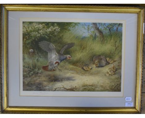 An Archibald Thornburn print, a family of partridge, signed in pencil and with the Fine Art Trade Guild blind stamp, and anot