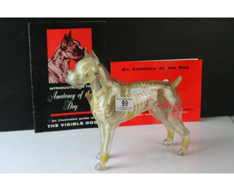 American ' Renewal Products Inc. ' Model showing the Anatomy of the Dog together with an Illustrated Guide plus a Booklet ' A