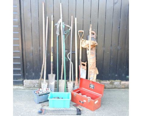 A collection of hand tools