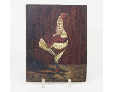 English school, early 19th century, study of a fighting cock, oil on mahogany panel, 19 x 15cm, unframed