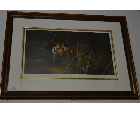 David Shepherd, into the sunlight there came a tiger, limited edition colour print, pencil signed and numbered 148/950.