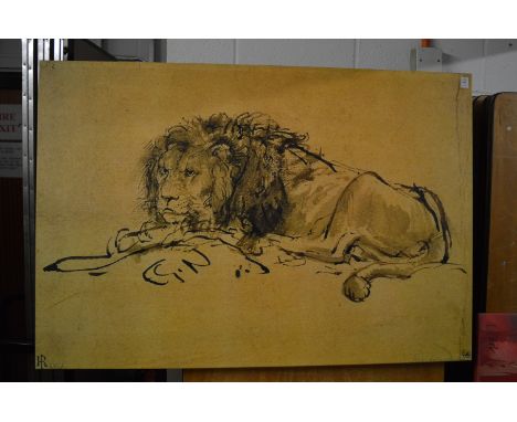A large photographic print on canvas depicting a resting lion.