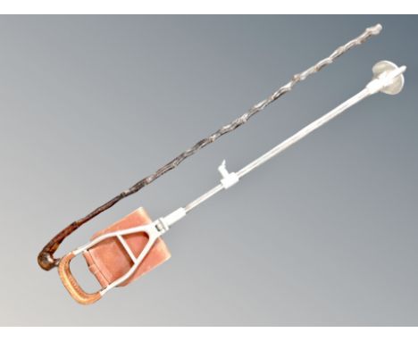 A shooting stick together with a blackthorn stick 