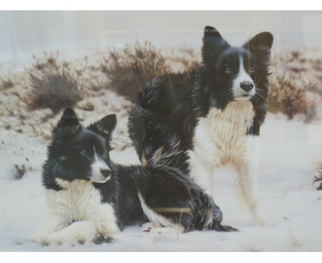 A Limited Edition print after Steven Townsend, Snow Search, signed, 16x22', framed and glazed