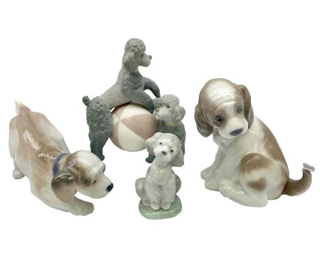 Four Lladro figures, comprising Playing Poodles in matte finish no 11258, Friend for Life 7685, Little Hunter no 6212 and Gen