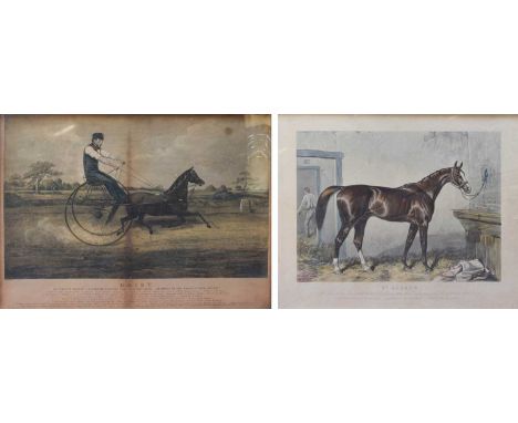 After William G R Hind (1833-1889)''Daisy / Mr William Pearce's celebrated trotting pony twelve hands high, champion of the w