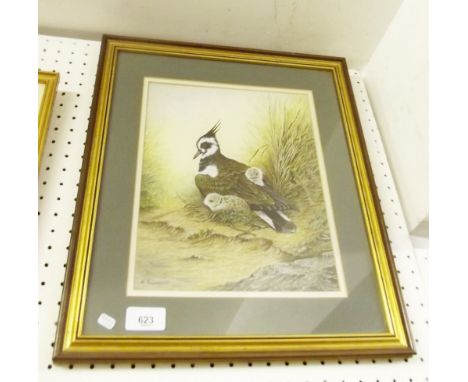 M Powell - watercolour lapwing and chicks, (Royal Worcester Artist) 27 x 22cm