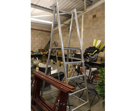 Hedge master step ladders