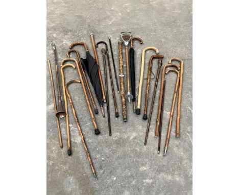 A collection of walking sticks, canes, umbrellas etc. including three with silver pommels or collars 