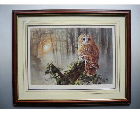 DOROTHY HYDE. Framed, glazed, signed and numbered, 20th Century, print, title to work ‘Tawny Owl’, wildlife portrait of an ow
