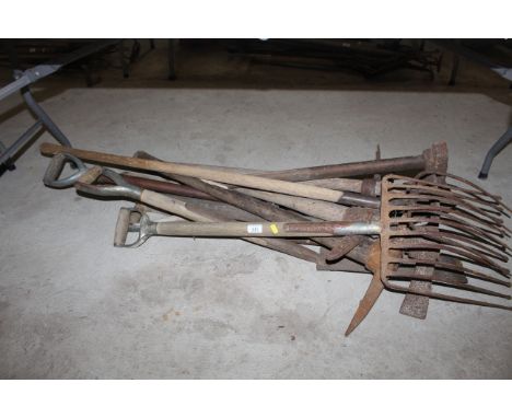 A quantity of wooden handled tools to include beet fork, pick axe, spade etc.