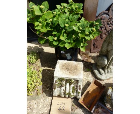 A BLACK PLANTER AND A STONE CAPITAL